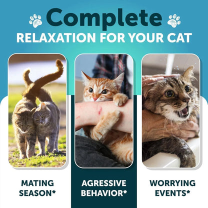 Hemp Cat Calming Treats For Stress & Anxiety Relief Cat Kittens Melatonin